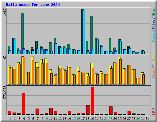 Daily usage for June 2024