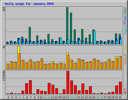 Daily usage for January 2025