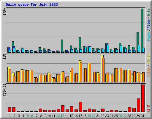 Daily usage for July 2025