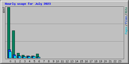 Hourly usage for July 2023