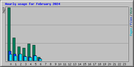 Hourly usage for February 2024