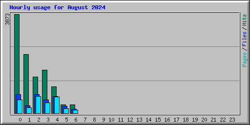 Hourly usage for August 2024