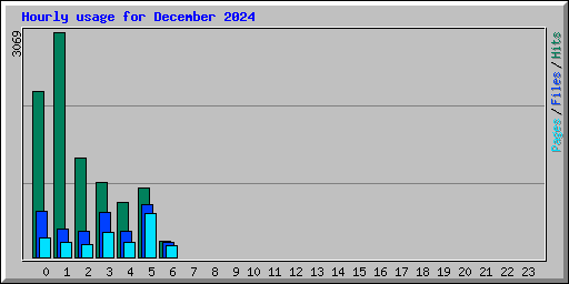 Hourly usage for December 2024