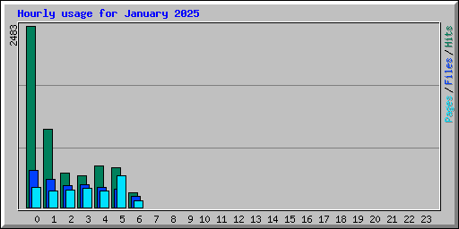 Hourly usage for January 2025