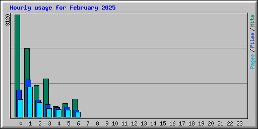 Hourly usage for February 2025