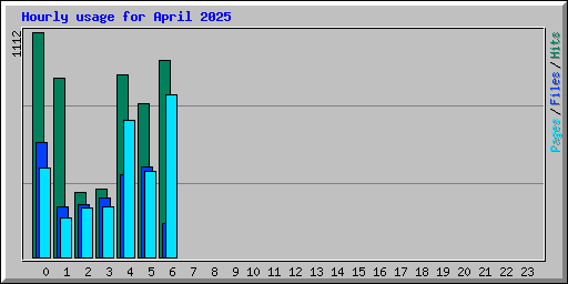 Hourly usage for April 2025