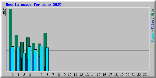 Hourly usage for June 2025