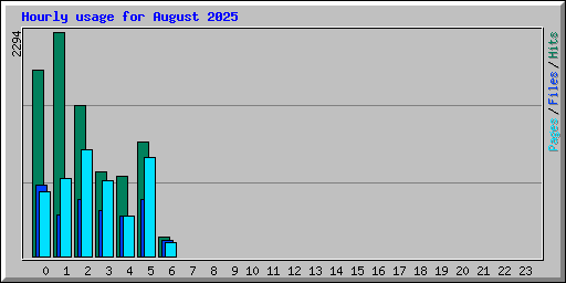 Hourly usage for August 2025