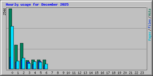Hourly usage for December 2025