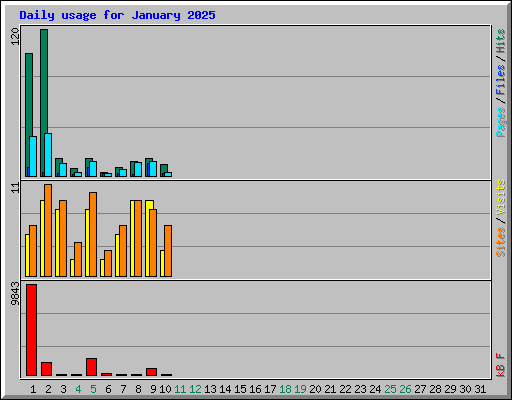 Daily usage for January 2025