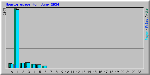 Hourly usage for June 2024