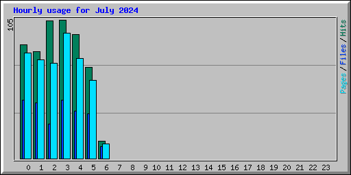 Hourly usage for July 2024