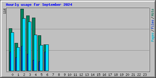 Hourly usage for September 2024