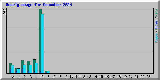 Hourly usage for December 2024