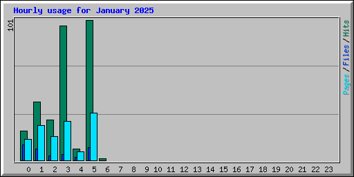 Hourly usage for January 2025