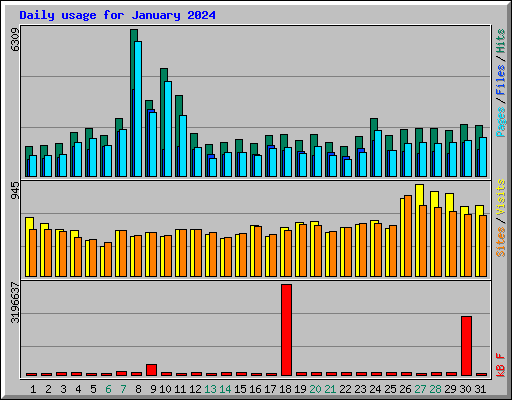 Daily usage for January 2024