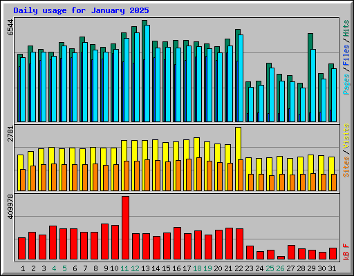 Daily usage for January 2025