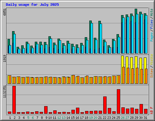 Daily usage for July 2025