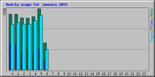 Hourly usage for January 2023