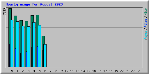Hourly usage for August 2023