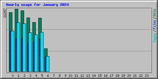 Hourly usage for January 2024