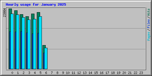 Hourly usage for January 2025