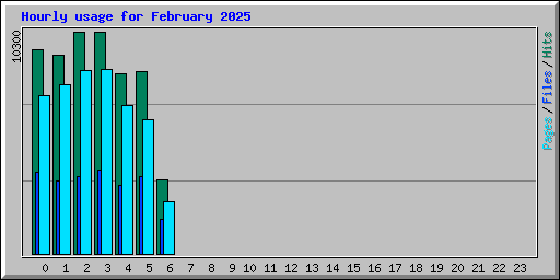 Hourly usage for February 2025