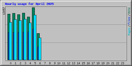 Hourly usage for April 2025
