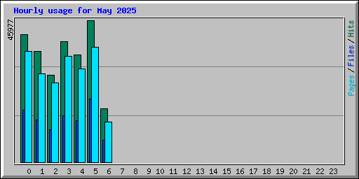 Hourly usage for May 2025