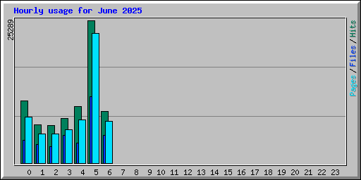 Hourly usage for June 2025