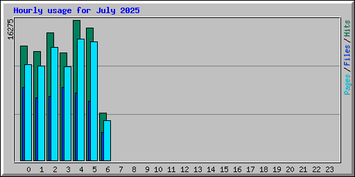 Hourly usage for July 2025