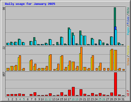 Daily usage for January 2025