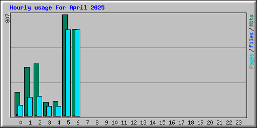 Hourly usage for April 2025