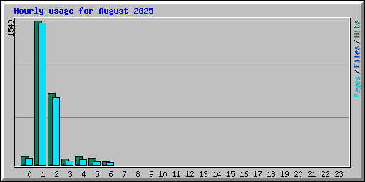 Hourly usage for August 2025