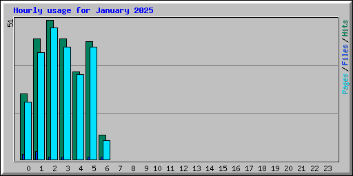 Hourly usage for January 2025