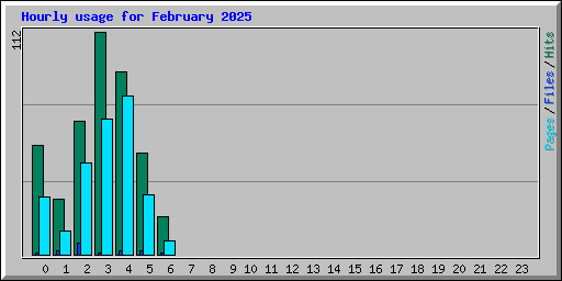 Hourly usage for February 2025