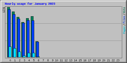 Hourly usage for January 2023