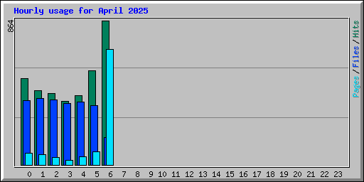 Hourly usage for April 2025