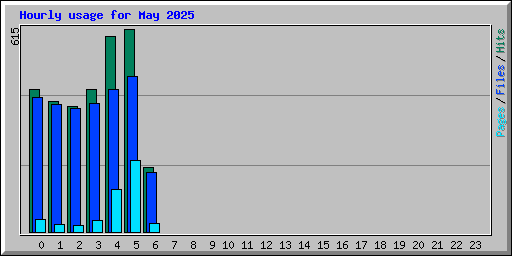 Hourly usage for May 2025