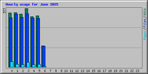 Hourly usage for June 2025