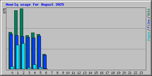Hourly usage for August 2025