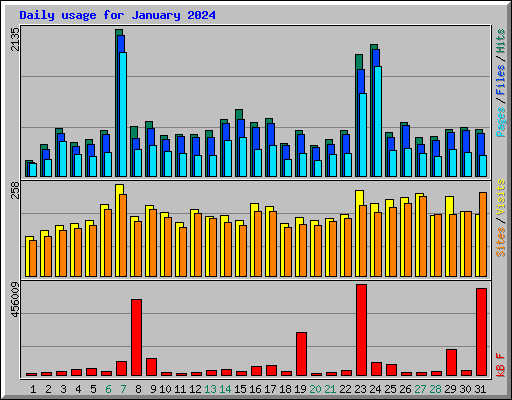 Daily usage for January 2024