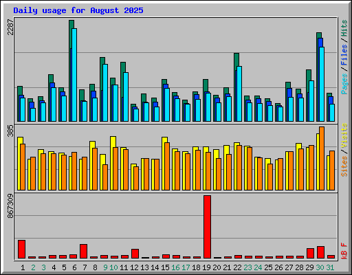 Daily usage for August 2025