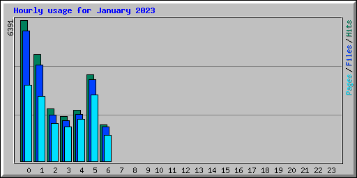 Hourly usage for January 2023