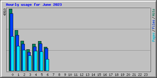 Hourly usage for June 2023