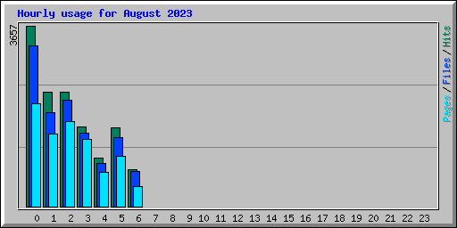 Hourly usage for August 2023