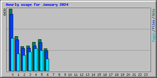 Hourly usage for January 2024