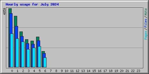 Hourly usage for July 2024