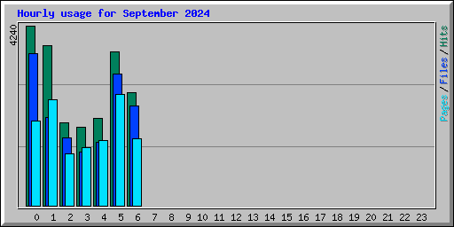Hourly usage for September 2024