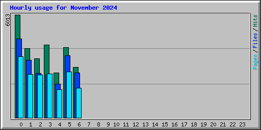 Hourly usage for November 2024